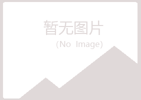 平果县字迹出版有限公司